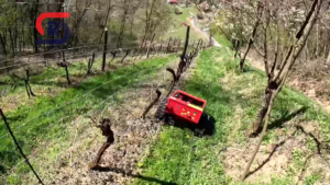 remote control lawn mowing in vineyards